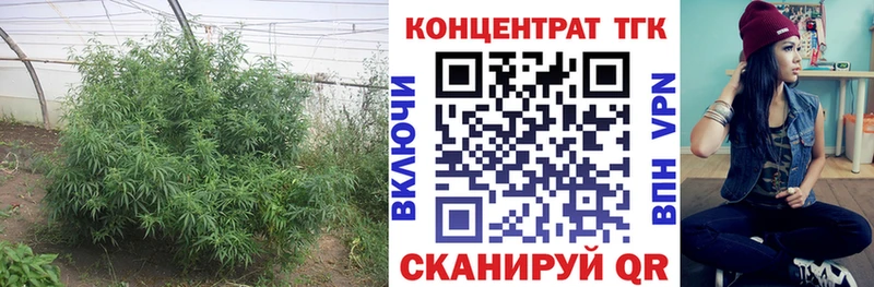ТГК концентрат  Завитинск 