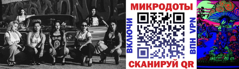 Галлюциногенные грибы Psilocybe Завитинск